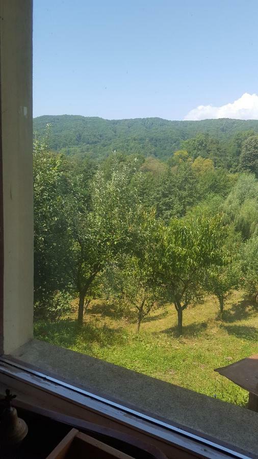 Casa Adelina Villa Valea Lunga-Cricov Bagian luar foto